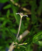 IMG_2811
