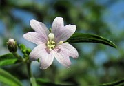IMG_4144