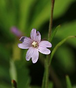 IMG_6538