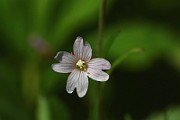 IMG_6539