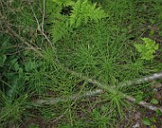 IMG_2559