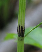 IMG_2560