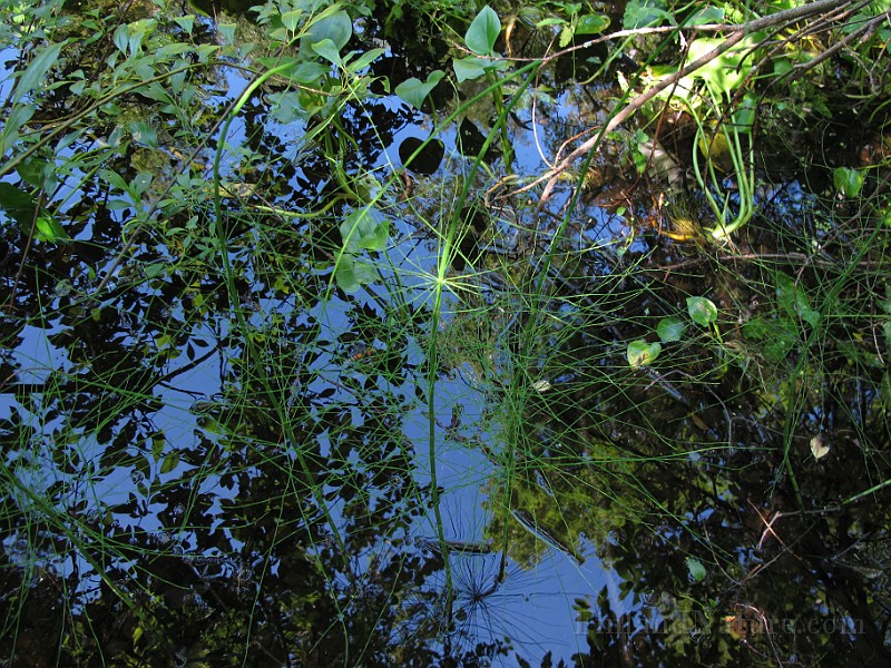 IMG_8827.JPG