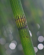 IMG_3850
