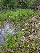 IMG_7276