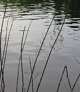 IMG_7499