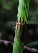 IMG_8855