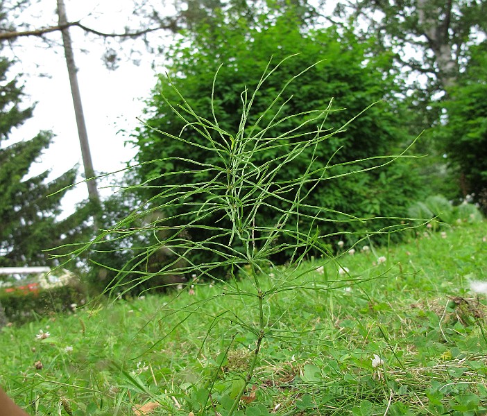 IMG_8056.JPG