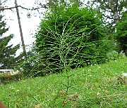IMG_8056