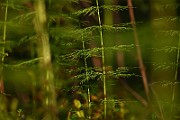 IMG_1535