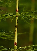 IMG_1538