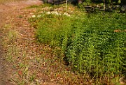 IMG_1539