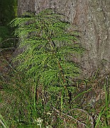 IMG_8679