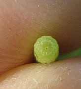 IMG_8684
