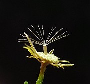 IMG_3835