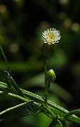 IMG_3844