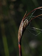 IMG_2317