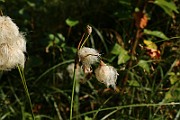 IMG_6392