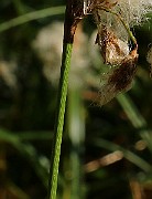 IMG_6392b