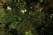 IMG_6393