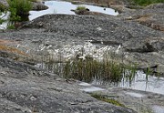 IMG_6660