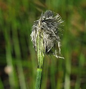 IMG_4041