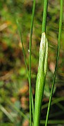 IMG_4042