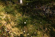 IMG_5921
