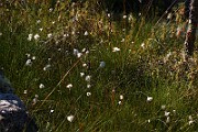 IMG_5924