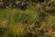 IMG_5925
