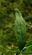 IMG_6128