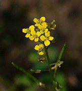 IMG_6568