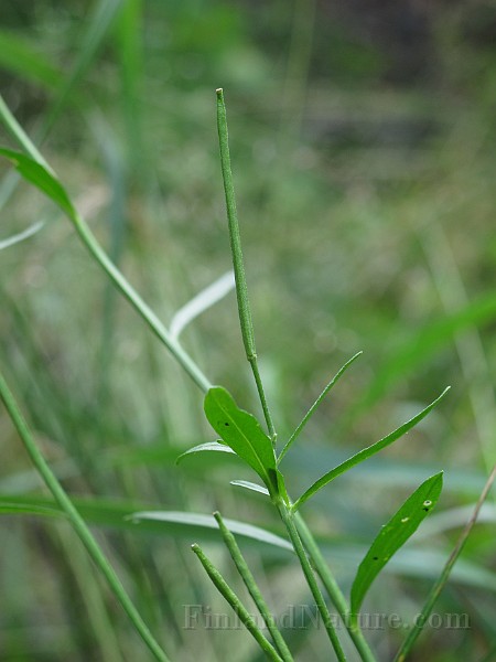 IMG_7891.JPG