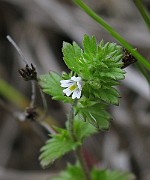 IMG_6799