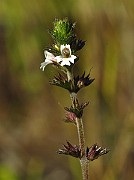 IMG_1753