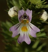IMG_0773