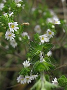 IMG_3919