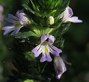 IMG_9413