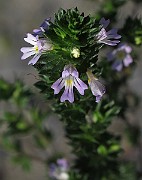 IMG_9415