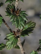 IMG_9416