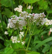 IMG_0186
