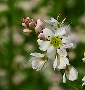 IMG_0190