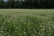 IMG_0193