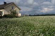 IMG_0194