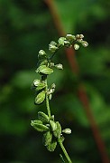 IMG_2891
