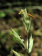 IMG_4511
