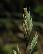 IMG_4512