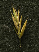 IMG_4563