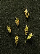 IMG_4564