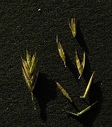 IMG_4573